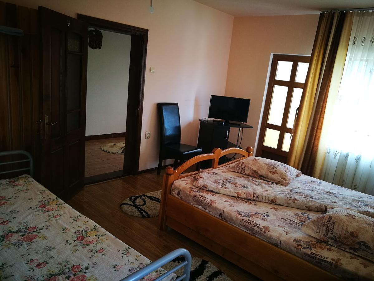 Pensiunea Ramona Carpinisu Exterior photo