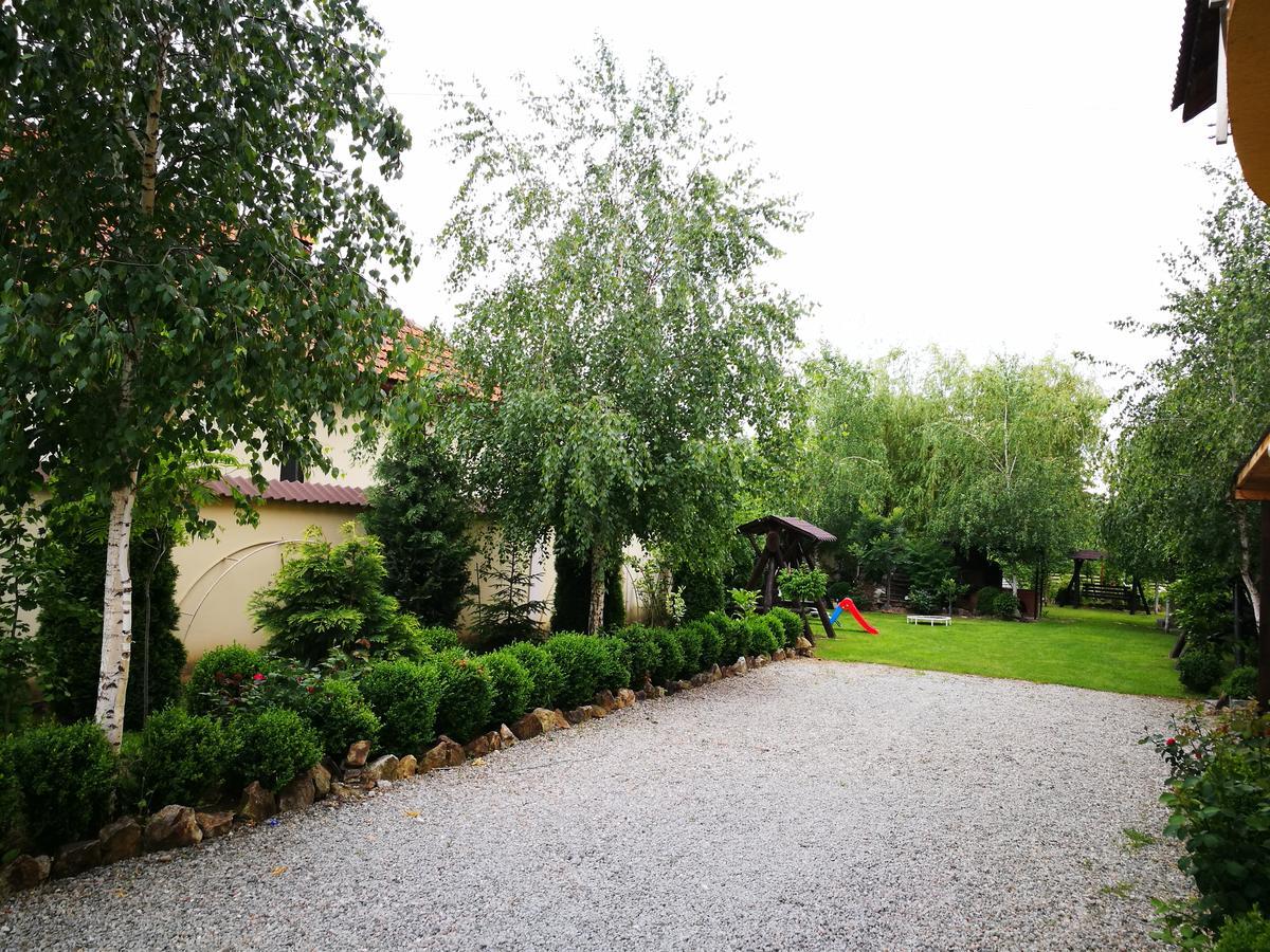Pensiunea Ramona Carpinisu Exterior photo